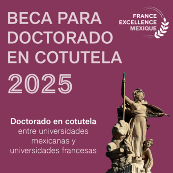 becas cotutela