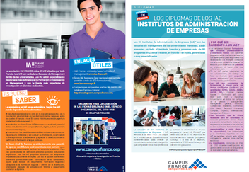 Ficha descriptiva de los IAE