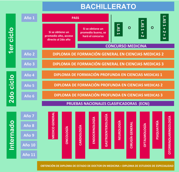 esquema organización de estudios de medicina en Francia